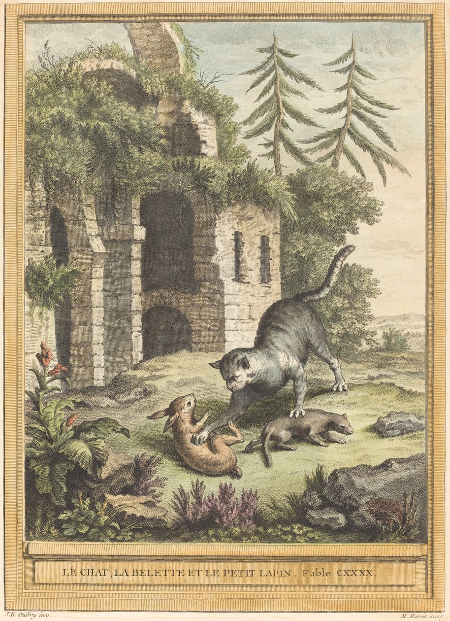 猫、黄鼠狼和小兔子 作者 让·巴蒂斯特·乌德里 (Jean Baptiste Oudry) 之后的马丁·马维