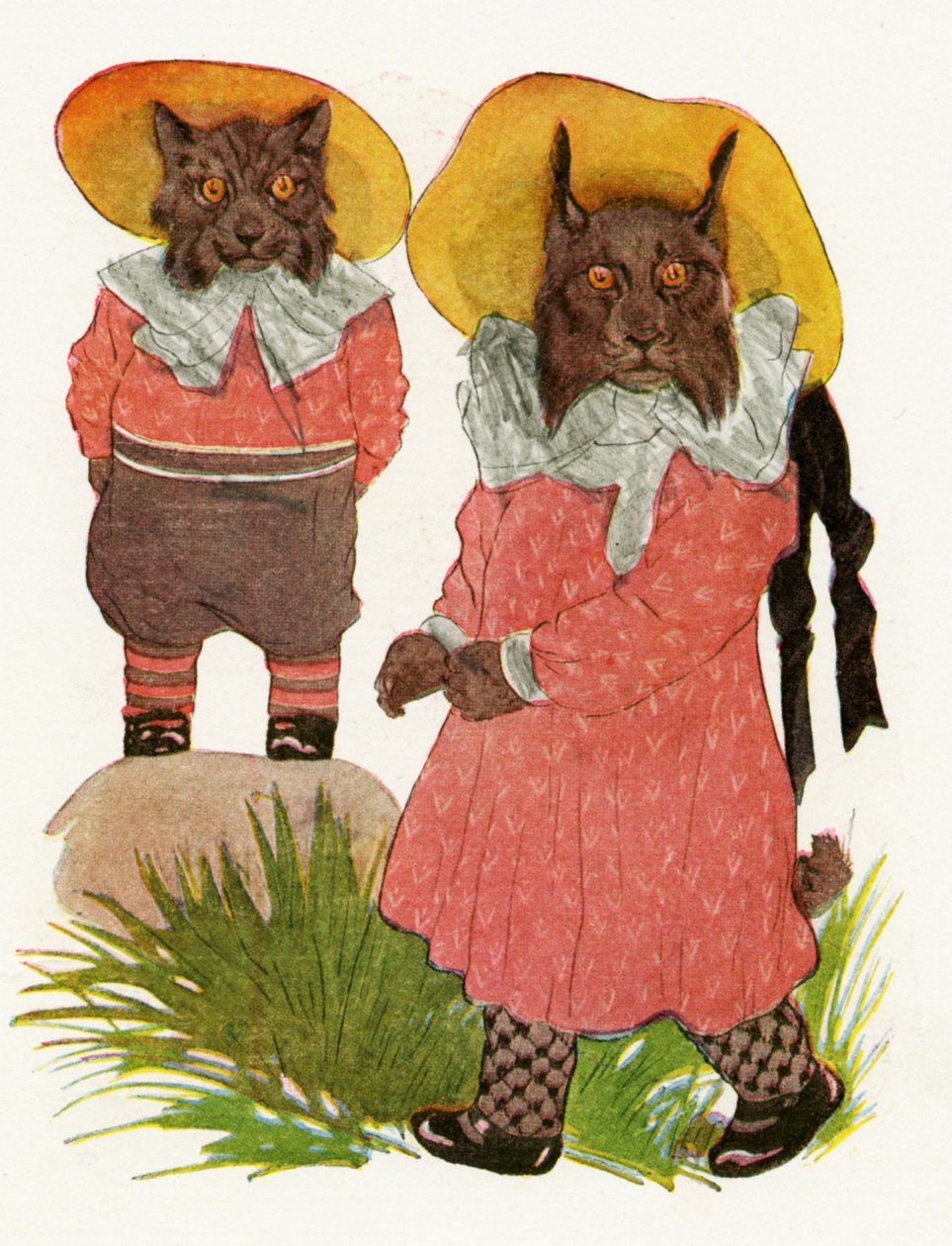 山猫和加拿大山猫，1913年 作者 马丁·罗斯