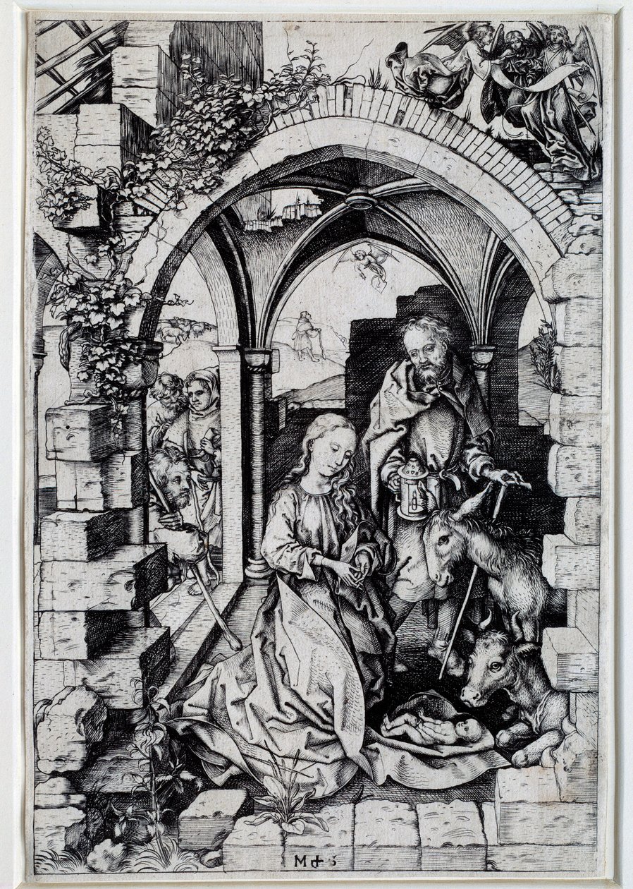 Martin Schongauer (1450-1491) 15世纪巴黎的自然画。 作者 马丁·尚高