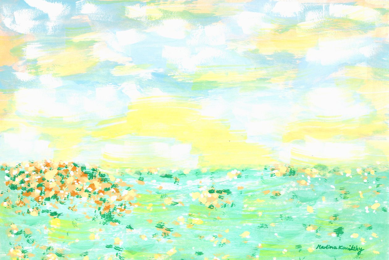 花草甸和黄杏多云的天空 作者 玛蒂娜·柯尼兹基（Martina Konitzky）