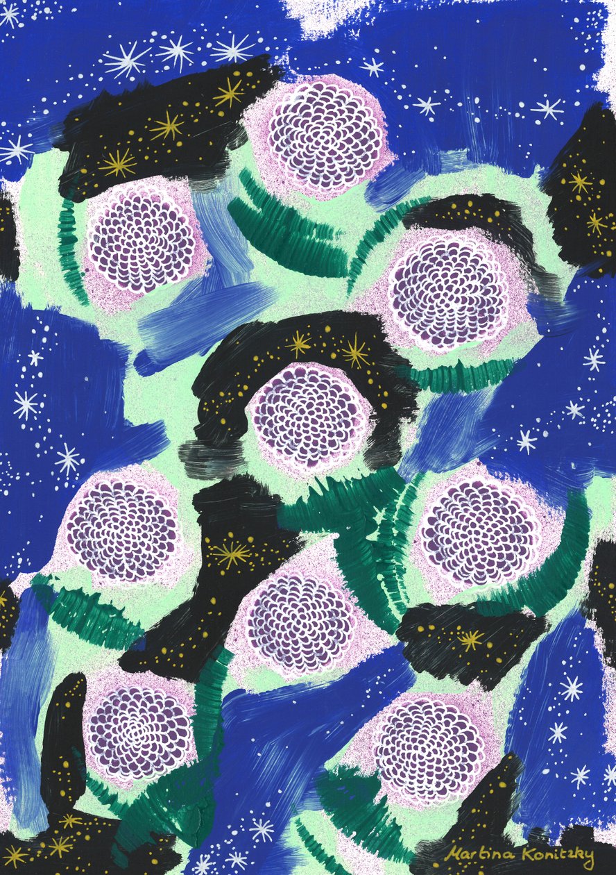 迷彩夜花（赞扬约瑟夫·冯·艾兴道夫） 作者 玛蒂娜·柯尼兹基（Martina Konitzky）