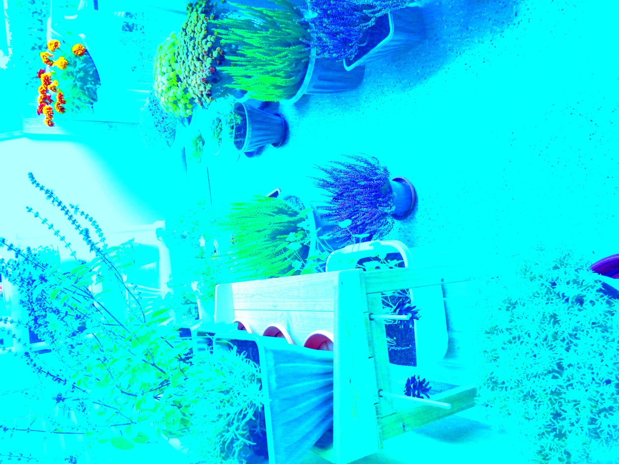 Gardening   1475725   zh       chinese Successfully Translated  Original: My pretty maid. A gentleman talking to a young woman. Translat: 