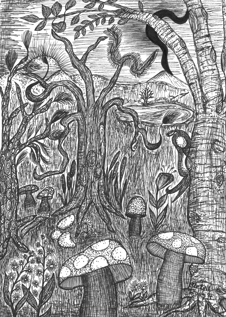 风景与蘑菇 作者 玛蒂娜·柯尼兹基（Martina Konitzky）