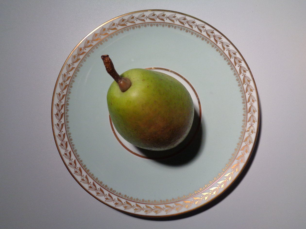 Lorenz Hutschenreuther 带梨的瓷器 作者 玛蒂娜·柯尼兹基（Martina Konitzky）