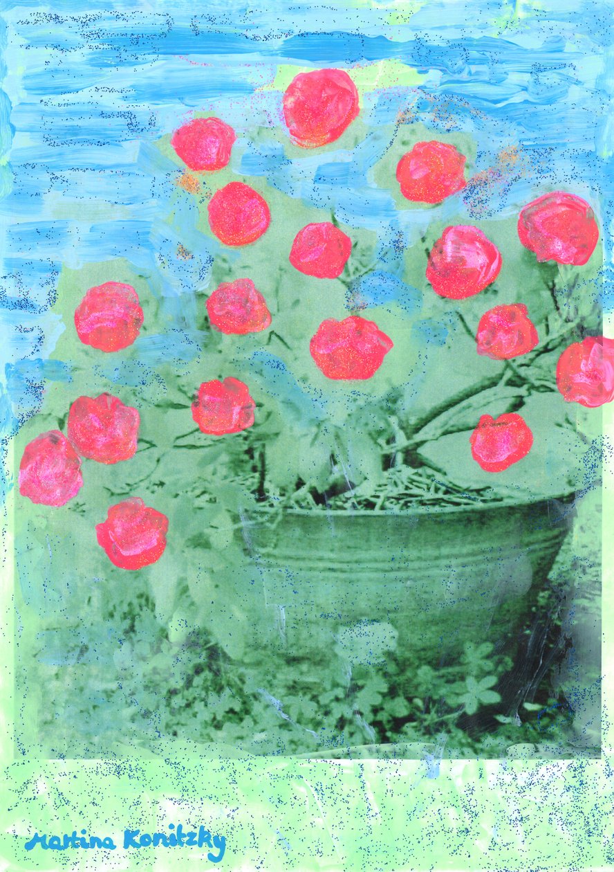 杜鹃花 作者 玛蒂娜·柯尼兹基（Martina Konitzky）