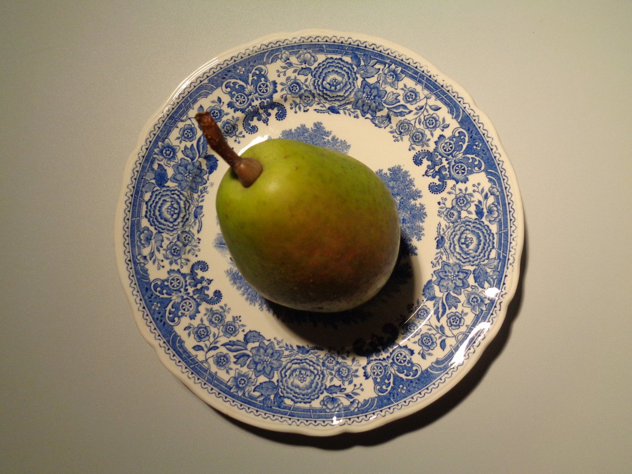 Villeroy and Boch 梨瓷器 作者 玛蒂娜·柯尼兹基（Martina Konitzky）