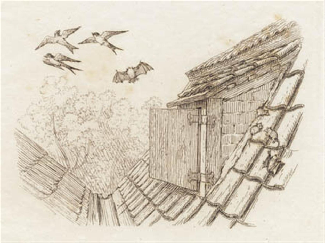 海伊为《半百儿童寓言》绘制的插图 作者 马蒂努斯·罗比（MartinusRørbye）
