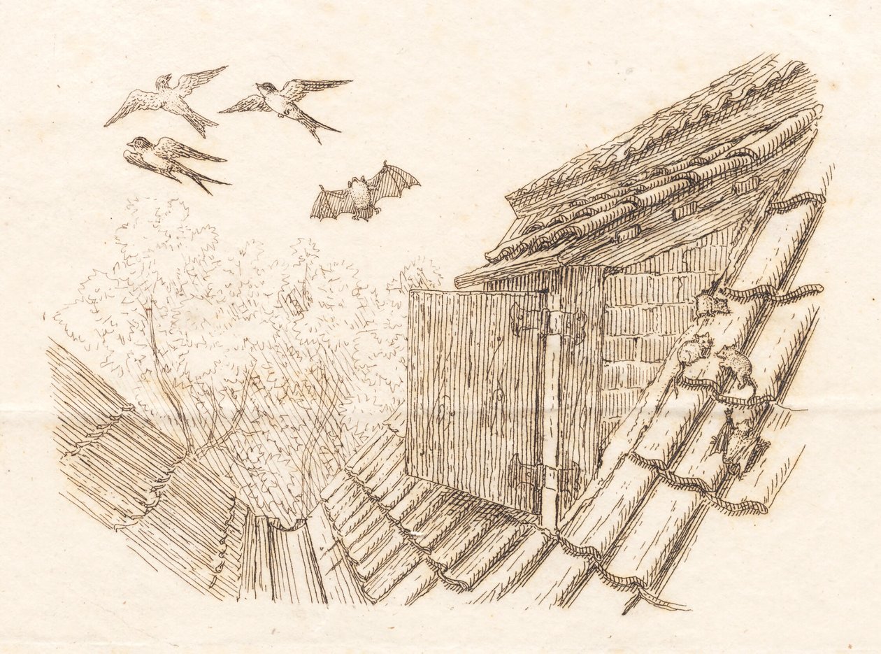 海伊为《半百儿童寓言》绘制的插图 作者 马蒂努斯·罗比（MartinusRørbye）