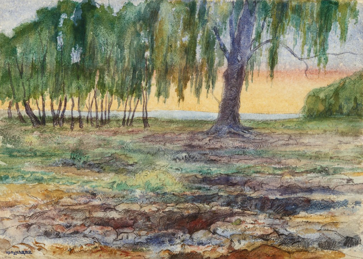 风景 作者 马丁·马尔哈罗