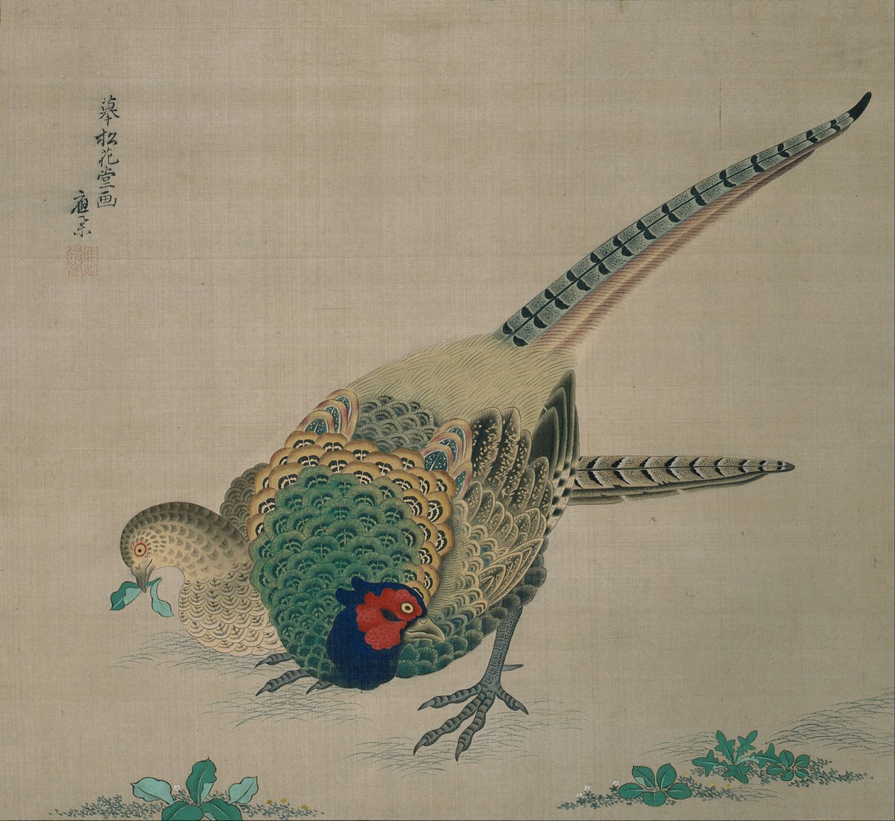 悬挂滚动（一对野鸡） 作者 丸山大京