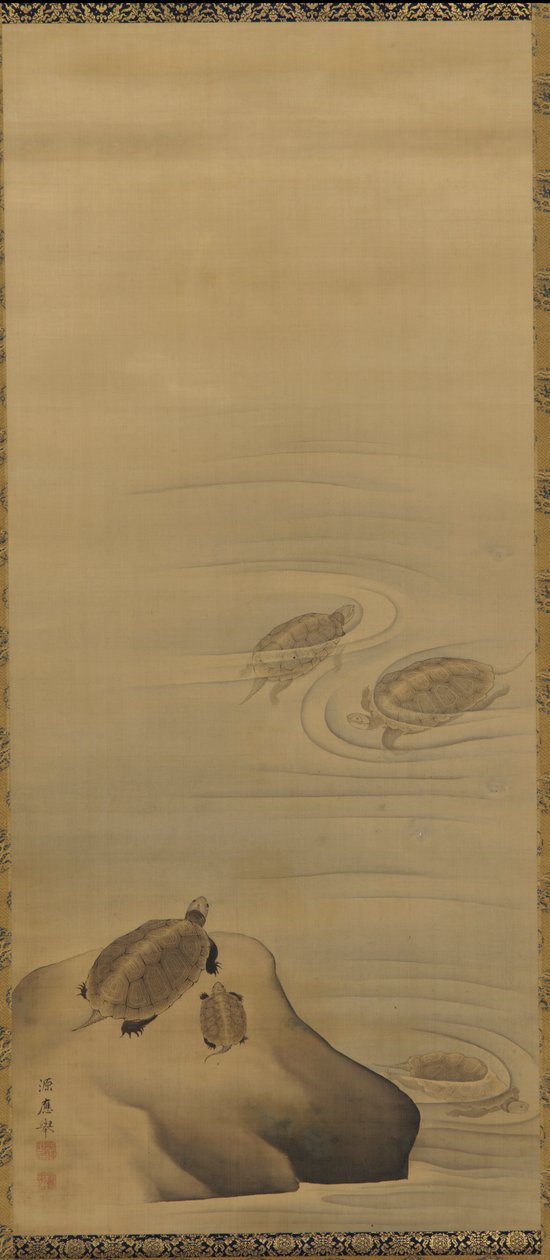 乌龟，江户时期，18世纪。 作者 丸山大京