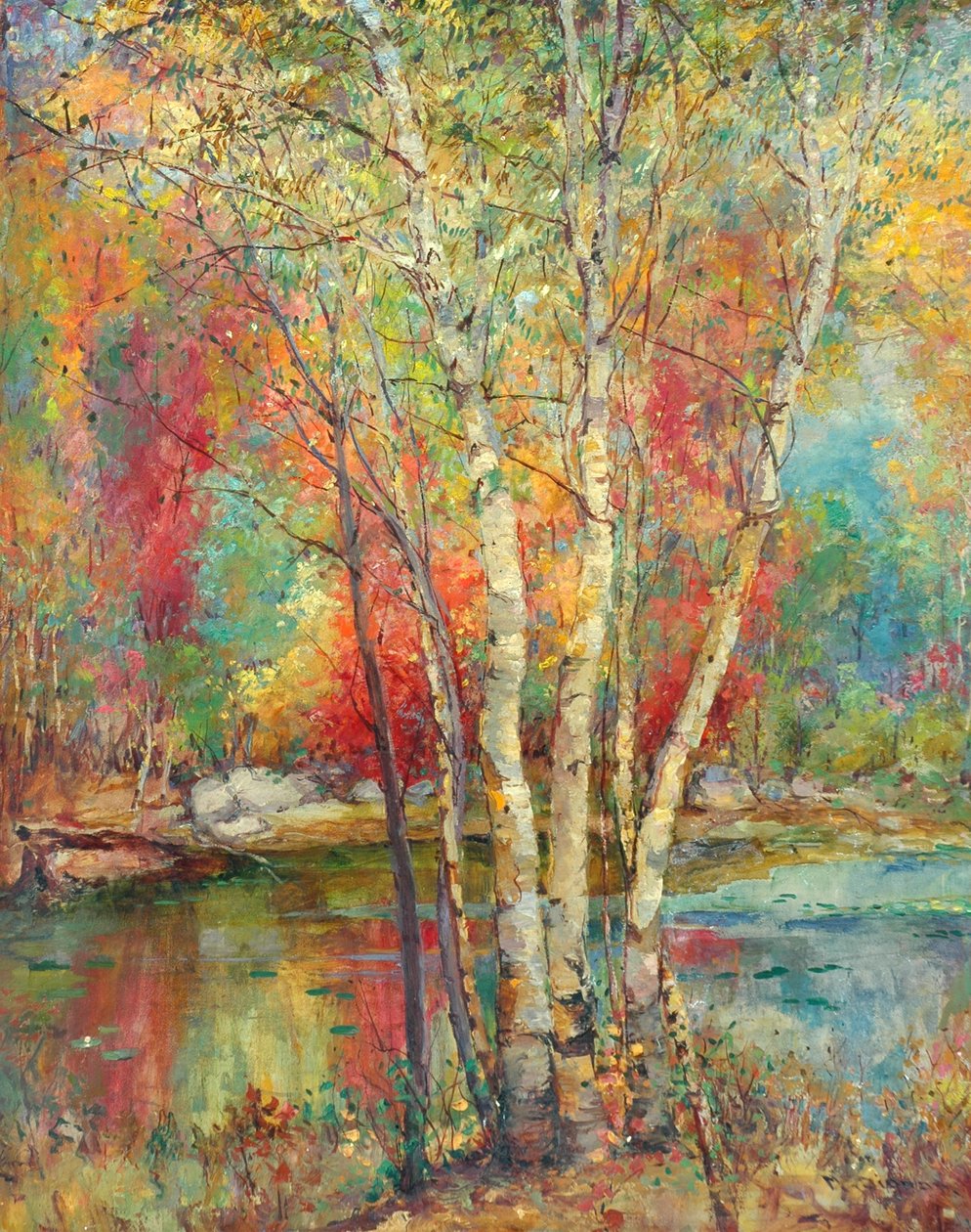 银桦树，c.1929 作者 玛丽·埃拉·威廉姆斯·迪格纳姆