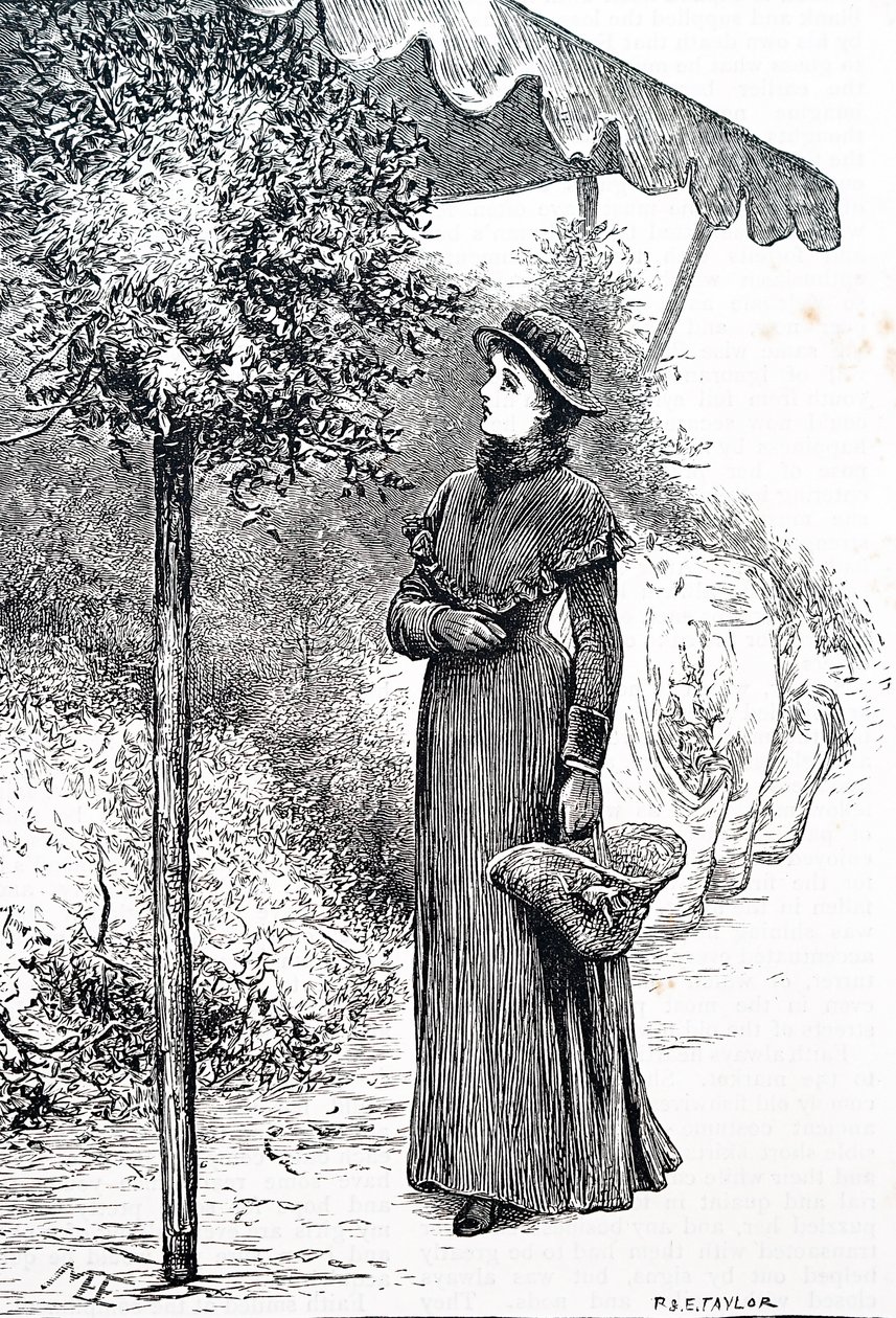一位妇女购买冬青用于圣诞装饰品。作者：玛丽-艾伦-爱德华兹（1838-1934），英国艺术家 作者 玛丽·艾伦·爱德华兹