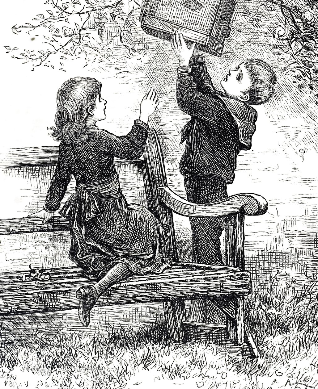Engraving depicting children with their pet sparrow in it