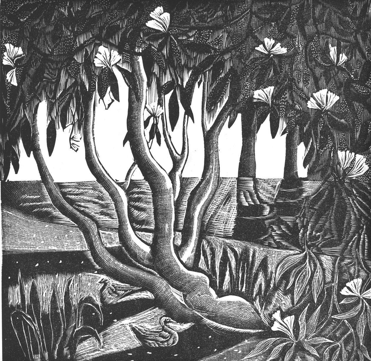 杜鹃花，荷兰公园，2006 年（乙烯基雕刻） 作者 玛丽·库珀
