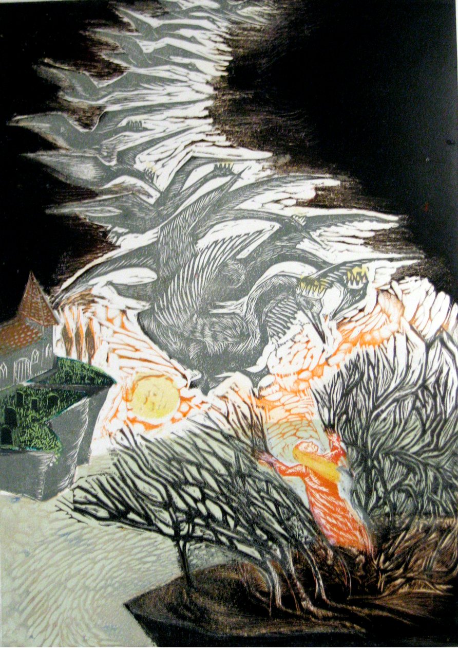 野天鹅 作者 玛丽·库珀