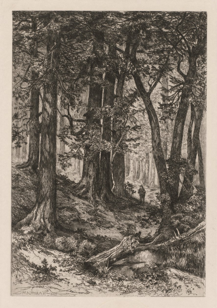 托马斯·莫兰美国人（Thomas Moran American），1837-1926年，1888年，加利福尼亚森林的内部。 作者 玛丽·尼莫·莫兰（Mary Nimmo Moran）
