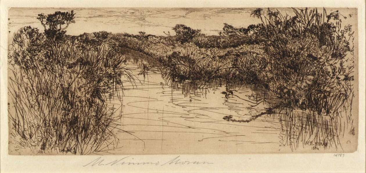 梅朵兰 作者 玛丽·尼莫·莫兰（Mary Nimmo Moran）