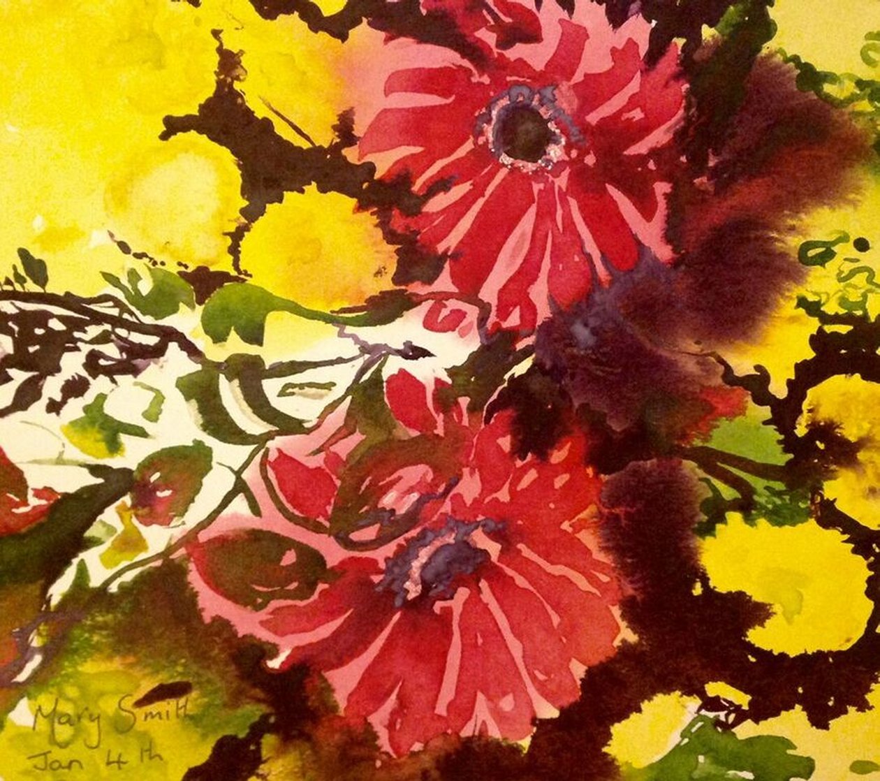 非洲菊 作者 玛丽·史密斯