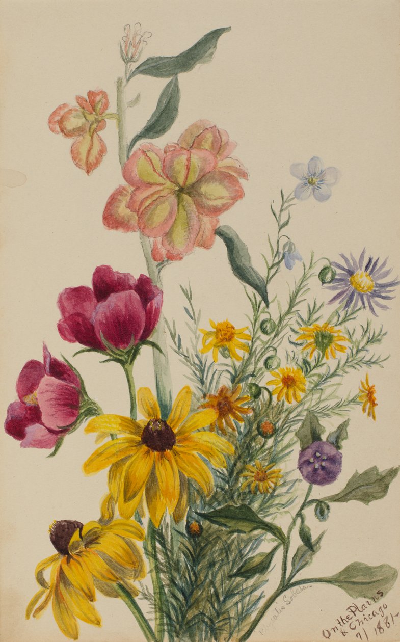 群花，1881年。 作者 玛丽·沃克斯·沃尔科特
