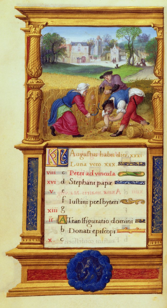 MS W.449 fol.9v August Reaping Wheat，c.1525 作者 让·德·毛兰大师