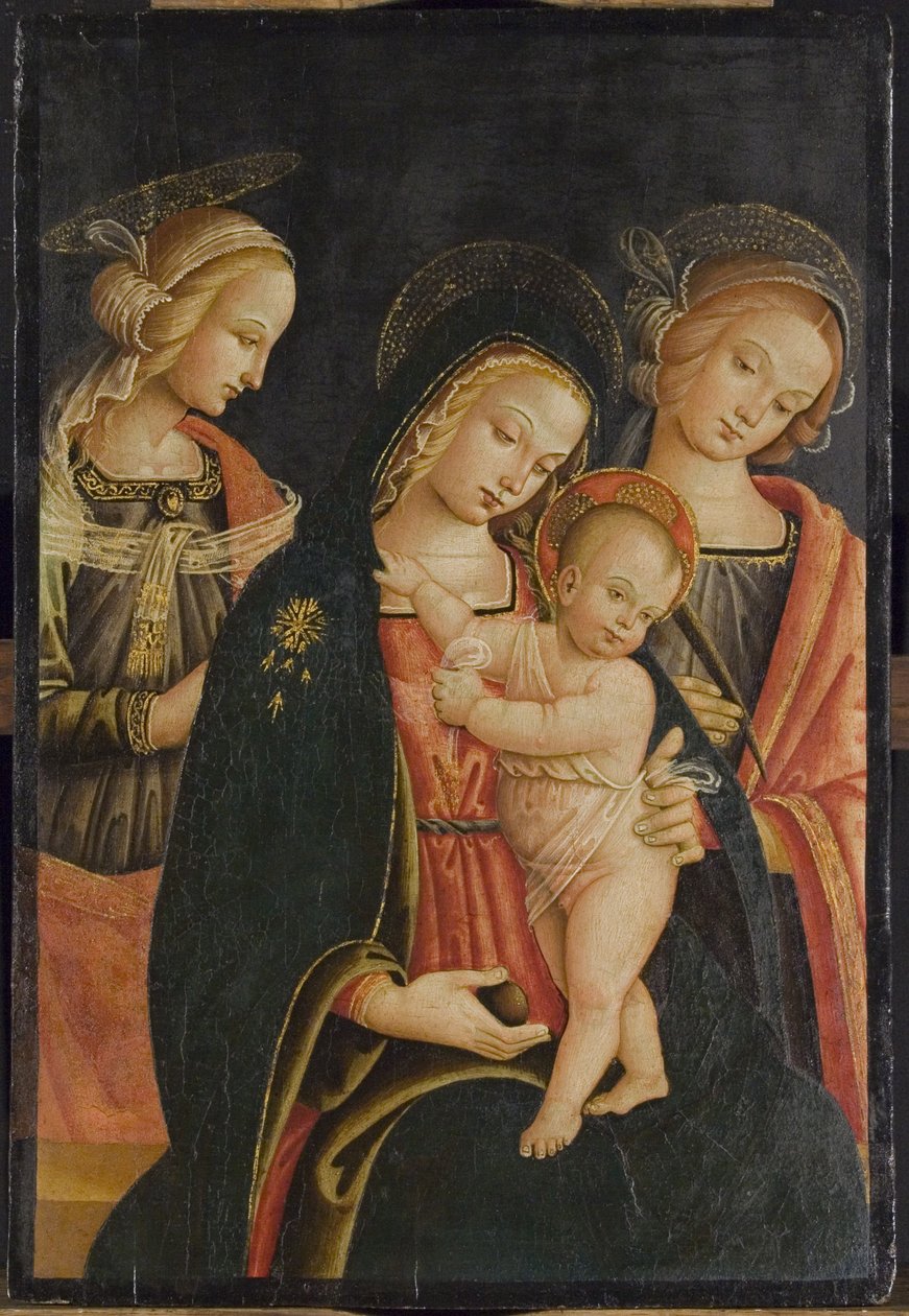 麦当娜和两个女圣徒的孩子，c.1500 作者 科尔托纳通多的大师