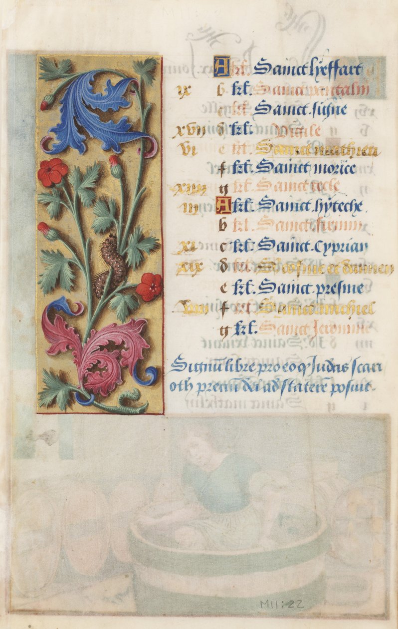 MS Lewis EM 11：22v花卉面板，带有老鼠，粉红色和毛毛虫，来自路易十二时代，1498-99（羊皮纸上的蛋彩画和黄金） 作者 法国大师克劳德
