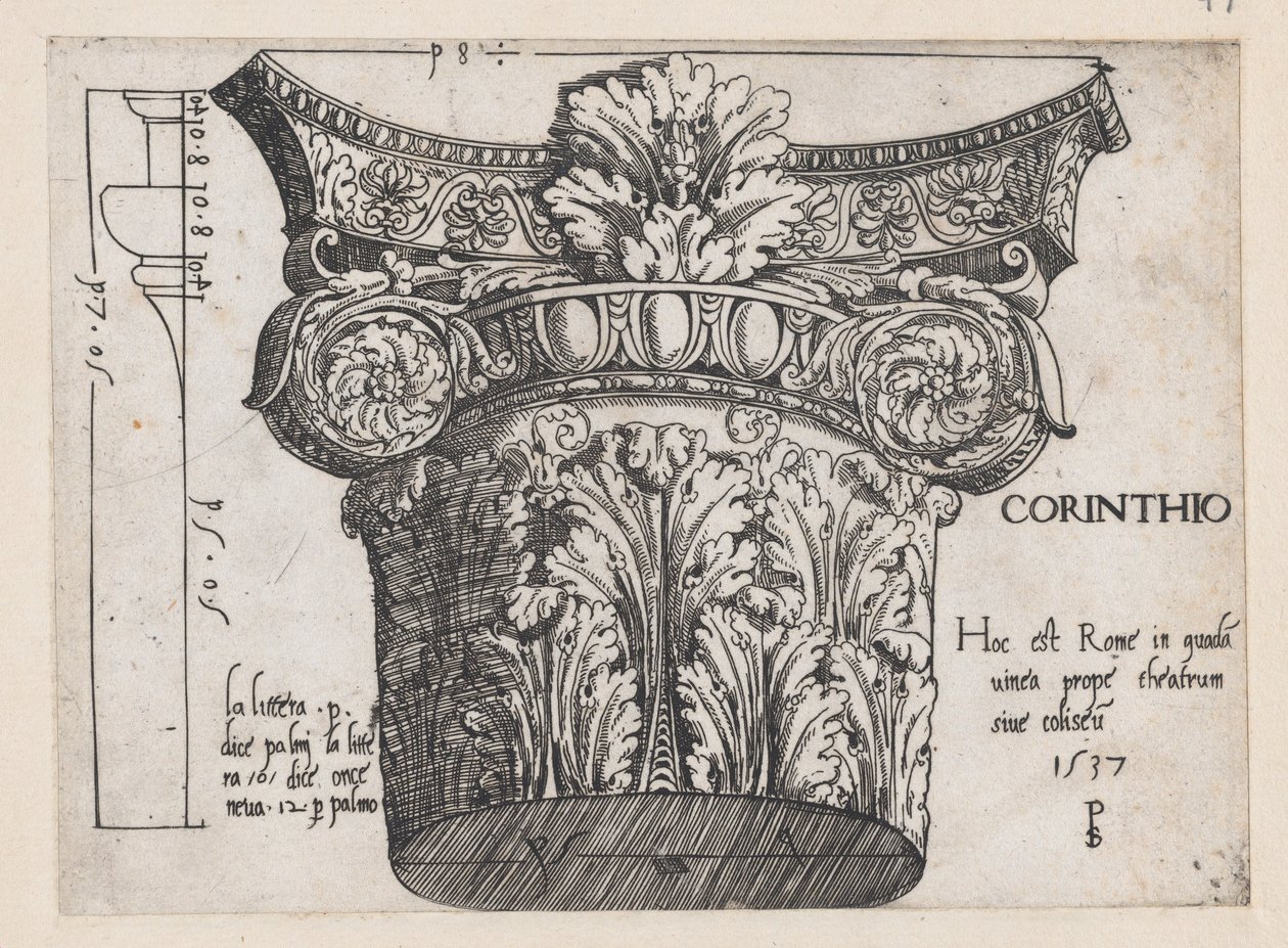 Speculum Romanae Magnificentiae:Corinthian capital, 1537., 1537. 作者 PS大师