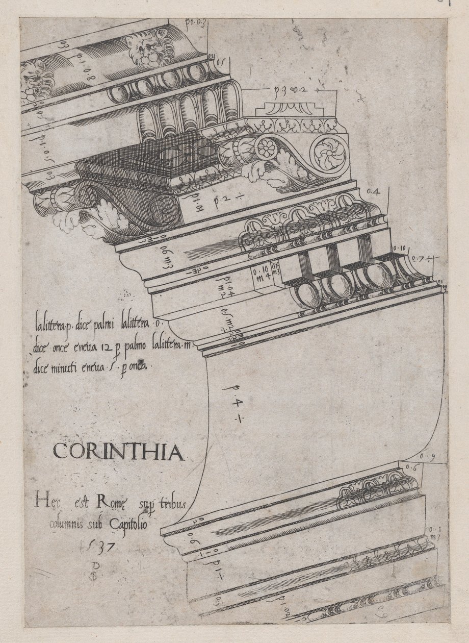 Speculum Romanae Magnificentiae:来自维斯帕西亚神庙的门板，罗马，1537年。 作者 PS大师