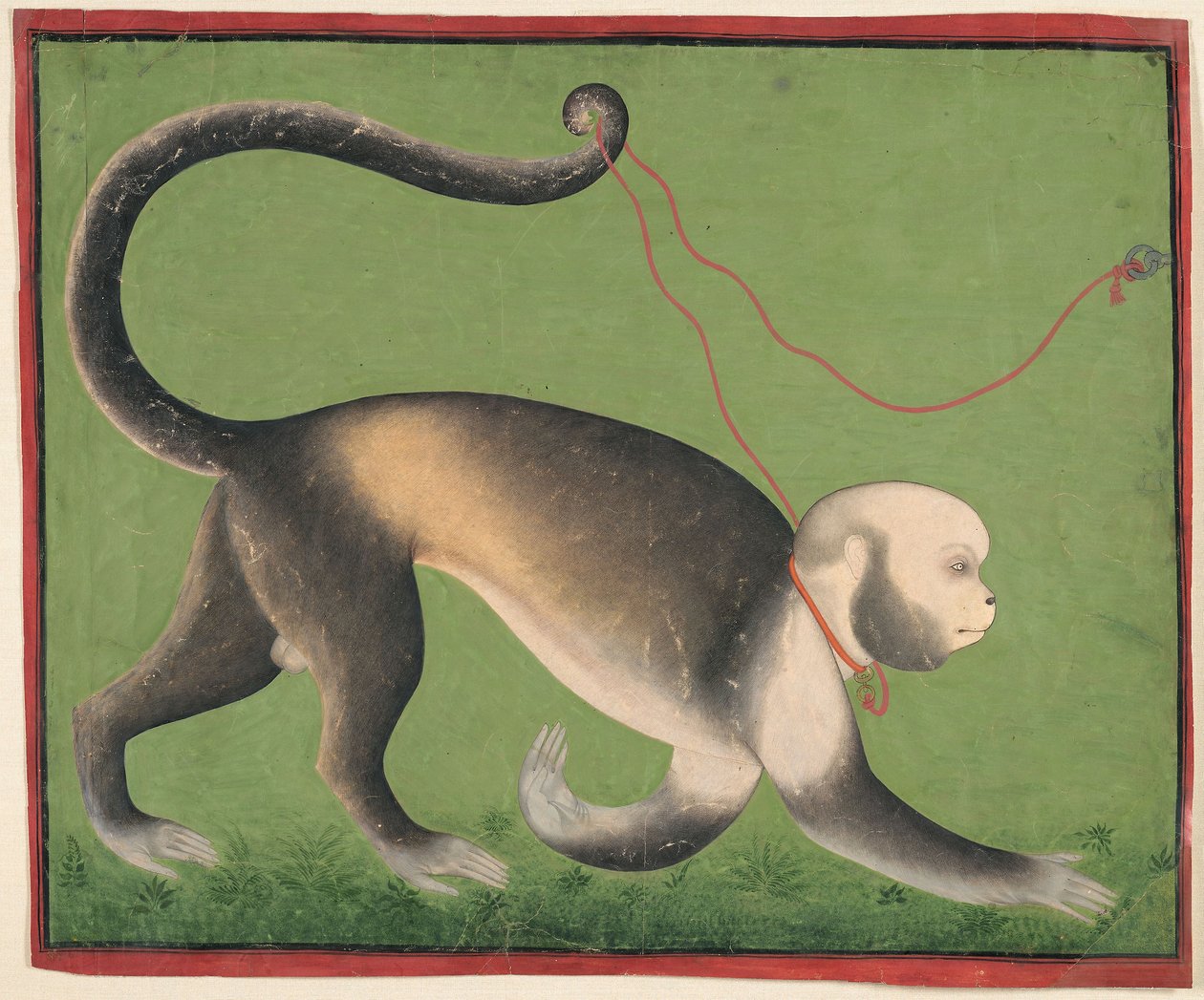 猴子的纪念肖像》，约 1705-10 年（纸面不透明水彩和金色） 作者 点画大师
