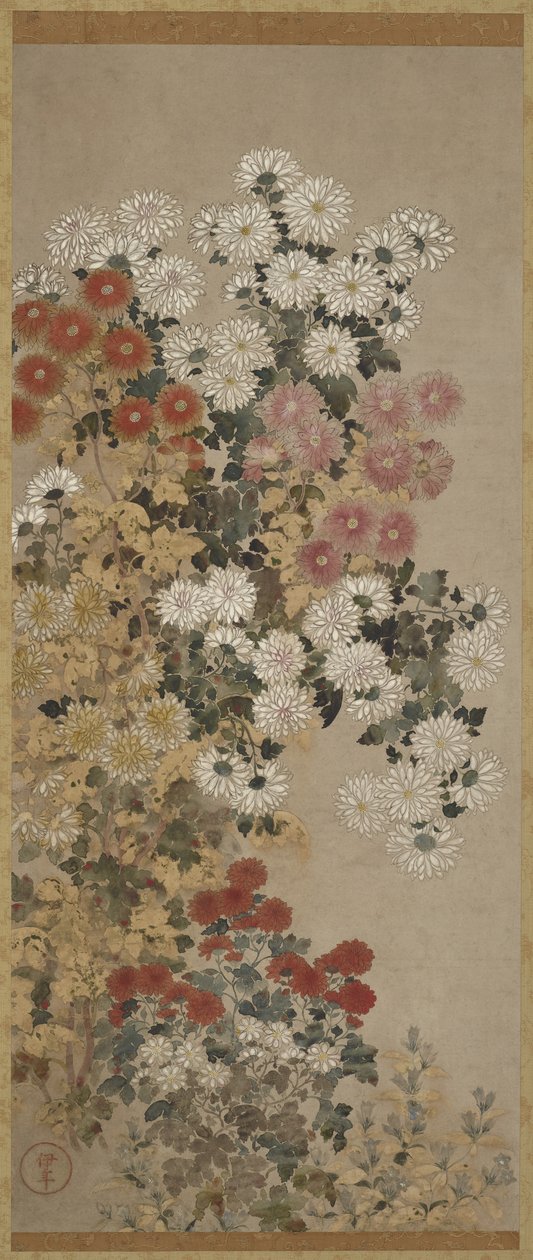 菊花，挂轴（安装在面板上），1600-30（纸上颜色） 作者 封印大师