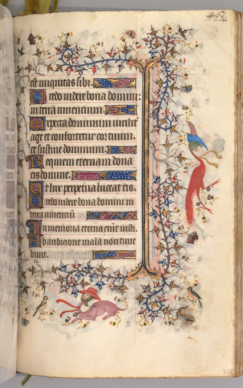 纳瓦拉国王（1361-1425）贵族查尔斯（Charles the Noble）的时间： 225r，文字，c。 1405。 作者 布鲁塞尔缩写和助理的硕士