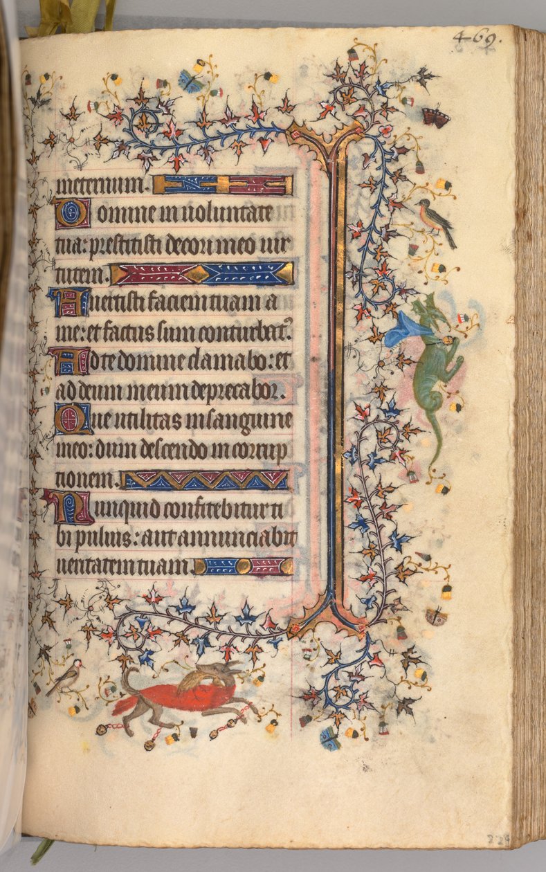 纳瓦拉国王（1361-1425）贵族查尔斯（Charles the Noble）的时间： 229r，文字，c。 1405。 作者 布鲁塞尔缩写和助理的硕士