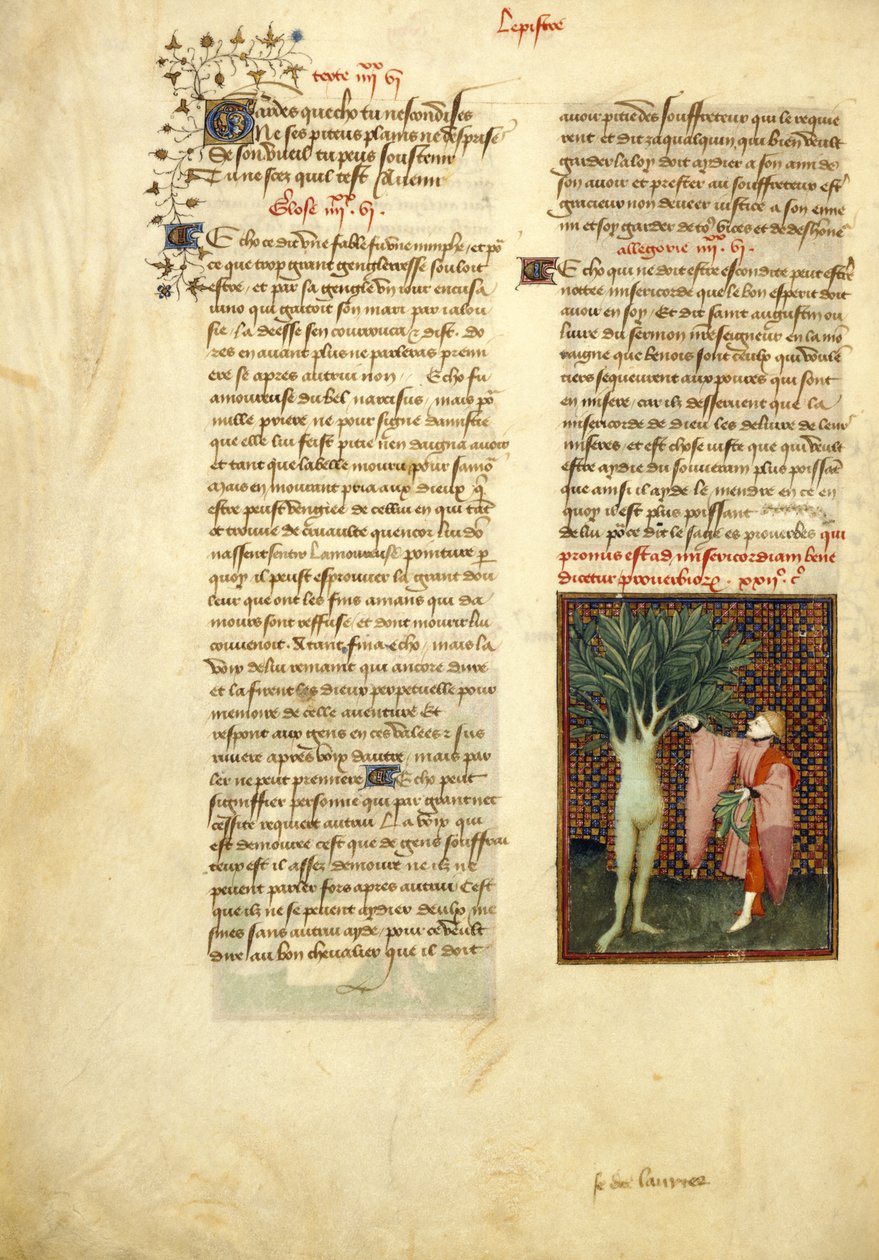 哈雷 4431，f.134v 《阿波罗与达芙妮》，选自《克里斯蒂娜-德-皮桑作品集 作者 Cite des Dames 大师