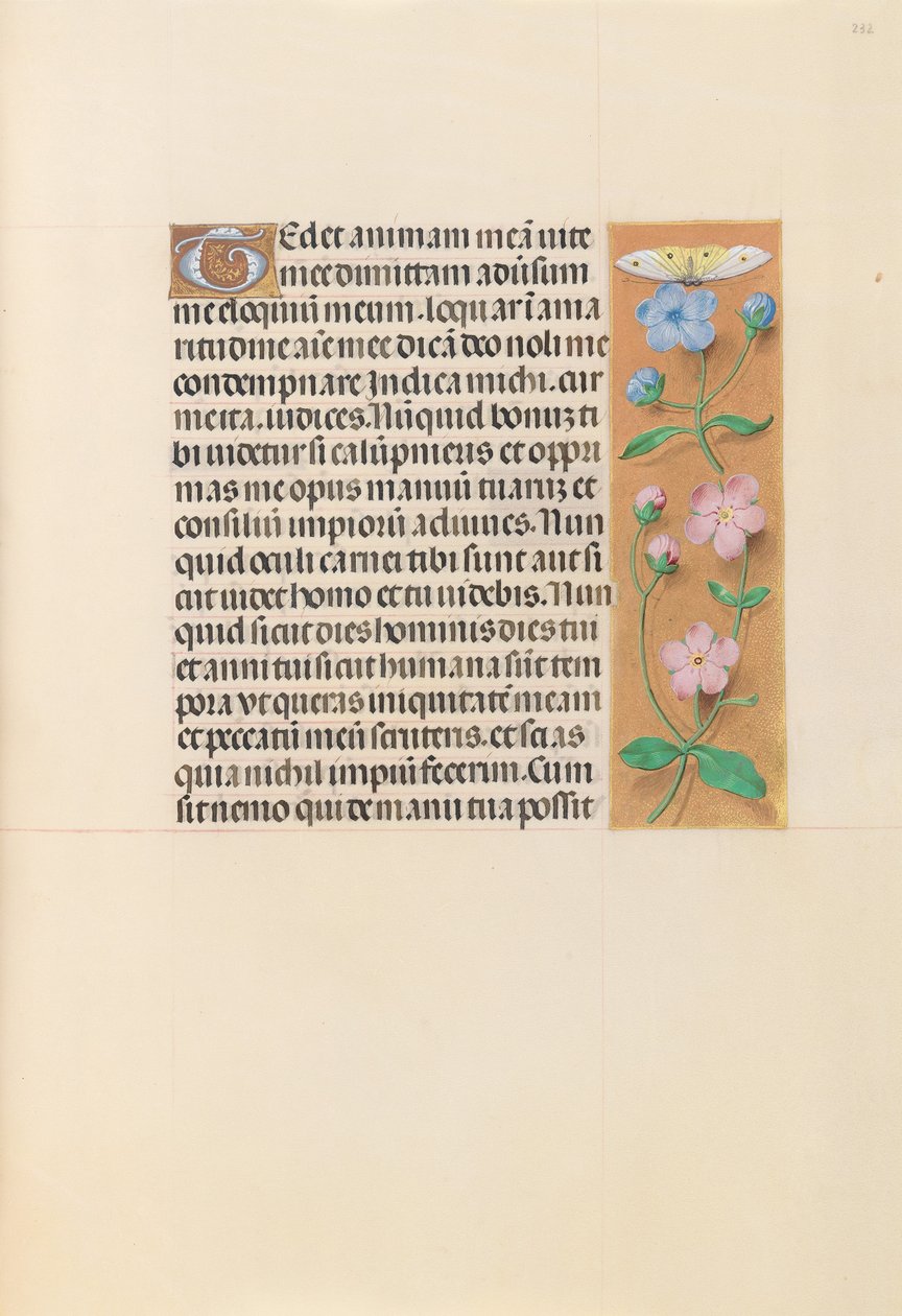 西班牙天主教女王伊莎贝拉的小时：  Fol.232r 作者 马克西米利安第一本祈祷书的硕士