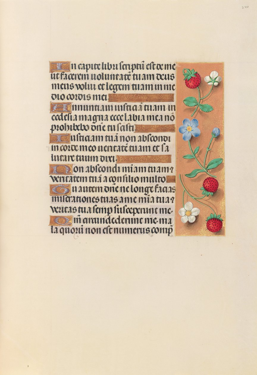 西班牙天主教女王伊莎贝拉的小时：  Fol.240r 作者 马克西米利安第一本祈祷书的硕士