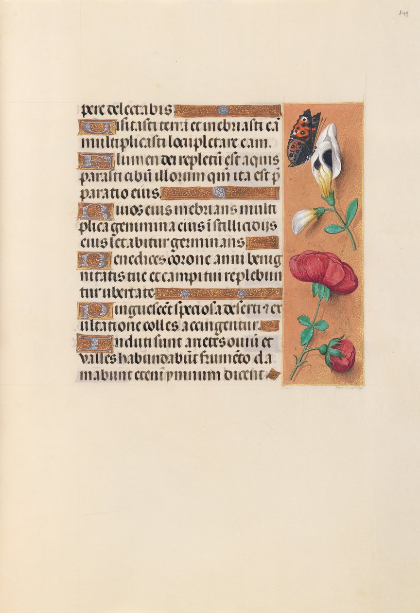 西班牙天主教女王伊莎贝拉的小时：  Fol.249r 作者 马克西米利安第一本祈祷书的硕士