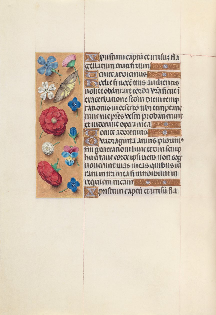 西班牙女王伊莎贝拉-天主教徒的时间：Fol.51v，约1500。 作者 马克西米利安第一本祈祷书的硕士