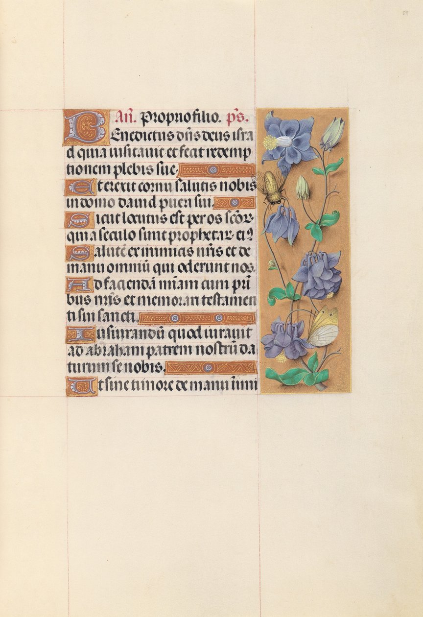 西班牙天主教女王伊莎贝拉的小时：  Fol.59r 作者 马克西米利安第一本祈祷书的硕士