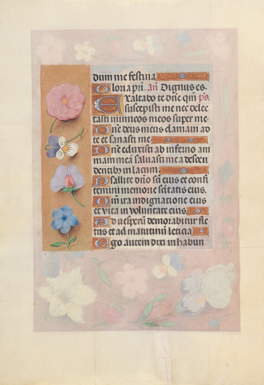西班牙天主教女王伊莎贝拉的小时：  Fol.73v 作者 马克西米利安第一本祈祷书的硕士