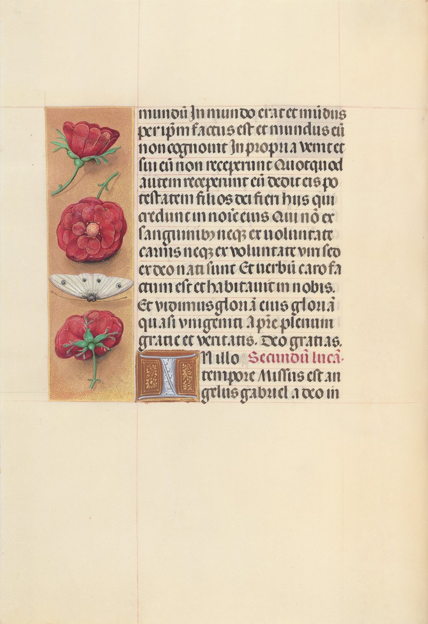 西班牙天主教女王伊莎贝拉的小时：  Fol.93v 作者 马克西米利安第一本祈祷书的硕士