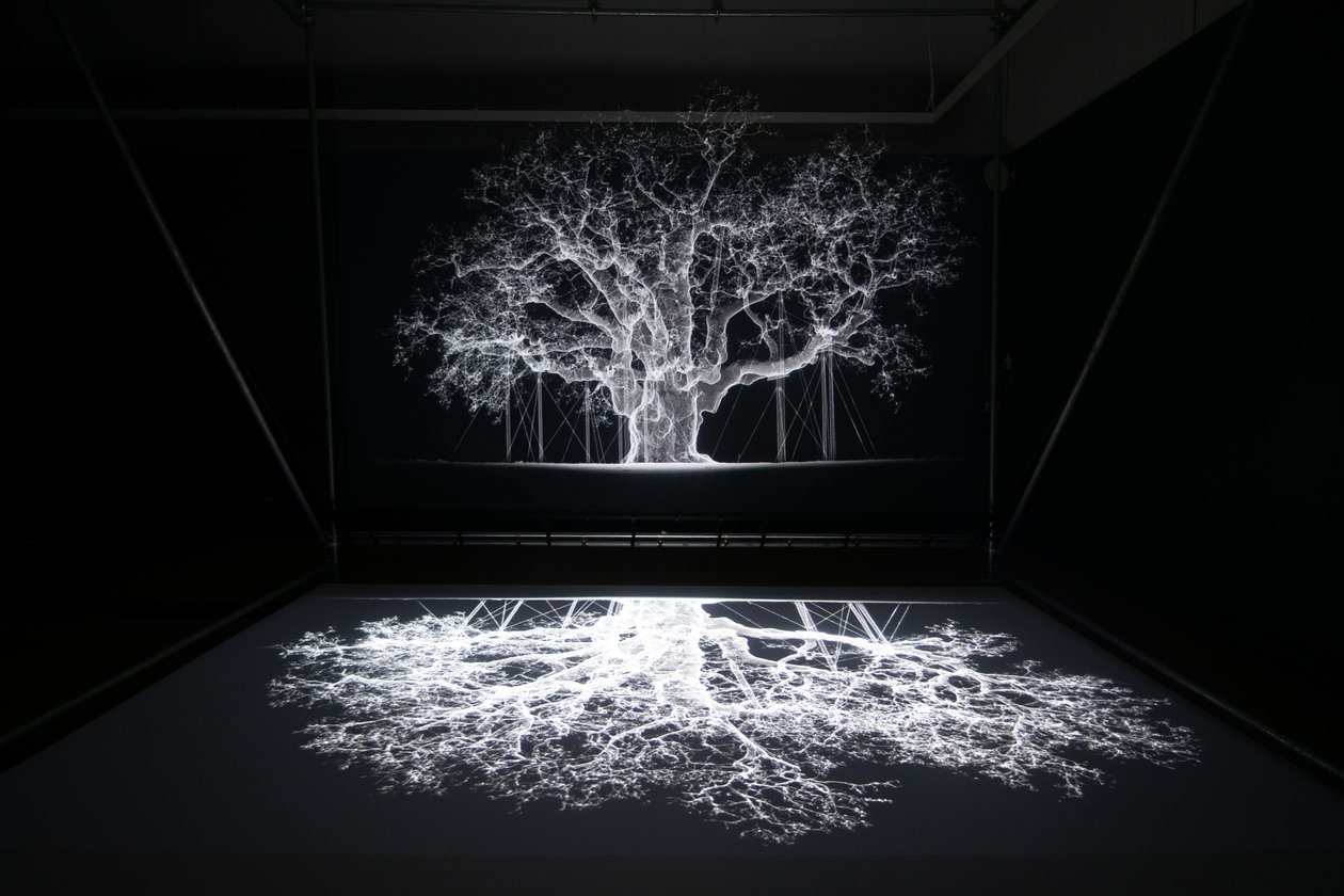 阿尔比恩，2023 年，伦敦邱园马特-科利肖的 "Petrichor "展览上（照片） 作者 马特·科利肖