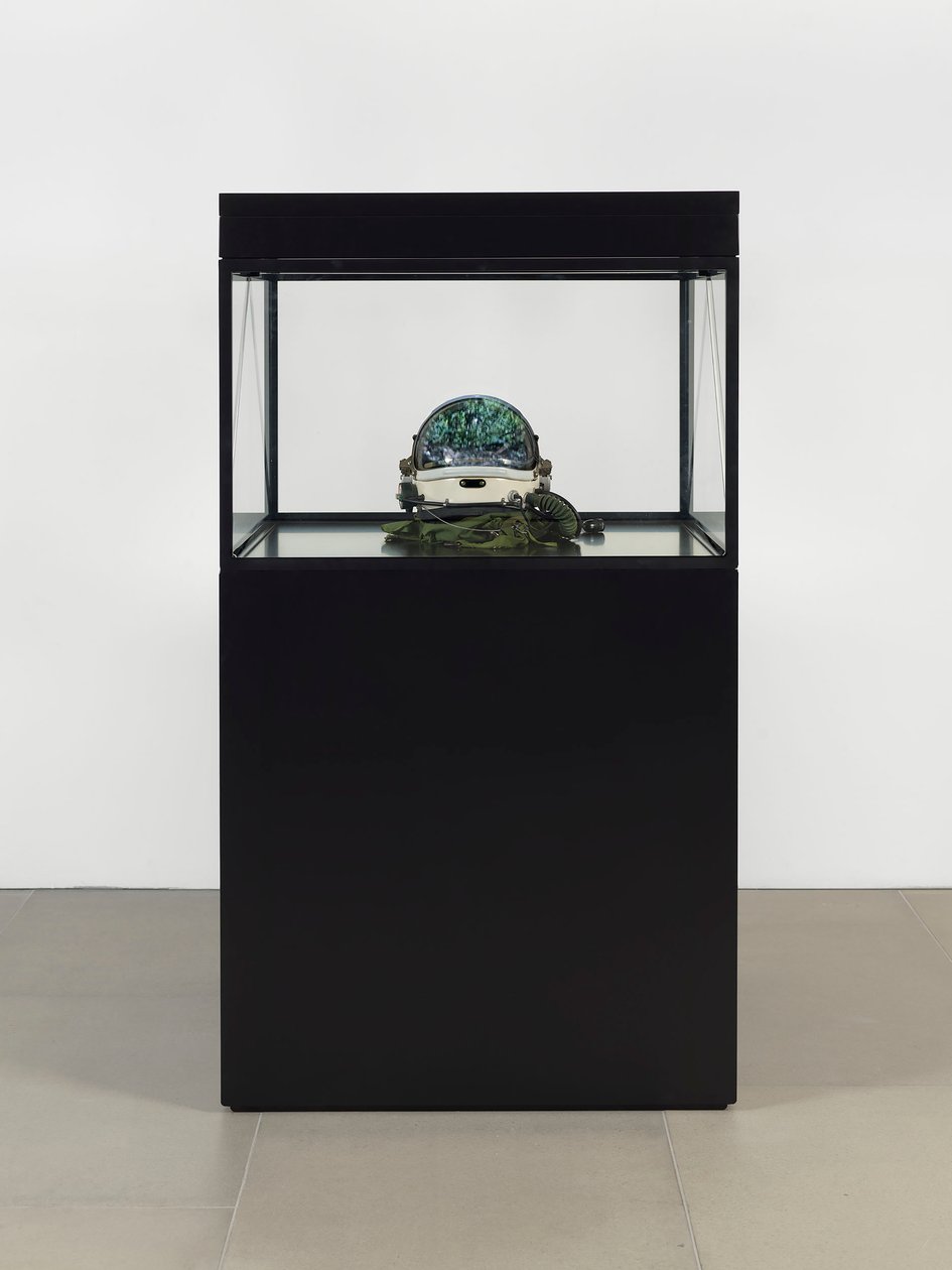阿尔法-欧米茄，2016（玻璃、液晶屏、媒体播放器、仿制头骨、太空头盔、木材） 作者 马特·科利肖