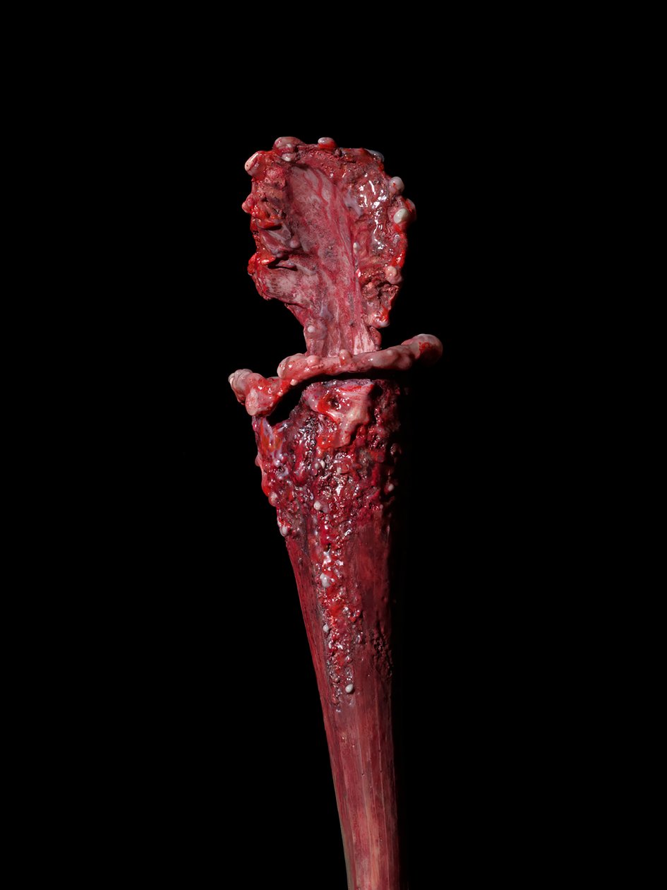 Venal Muse，Fenside，2012 年（树脂、搪瓷漆、木材、玻璃、钢材） 作者 马特·科利肖