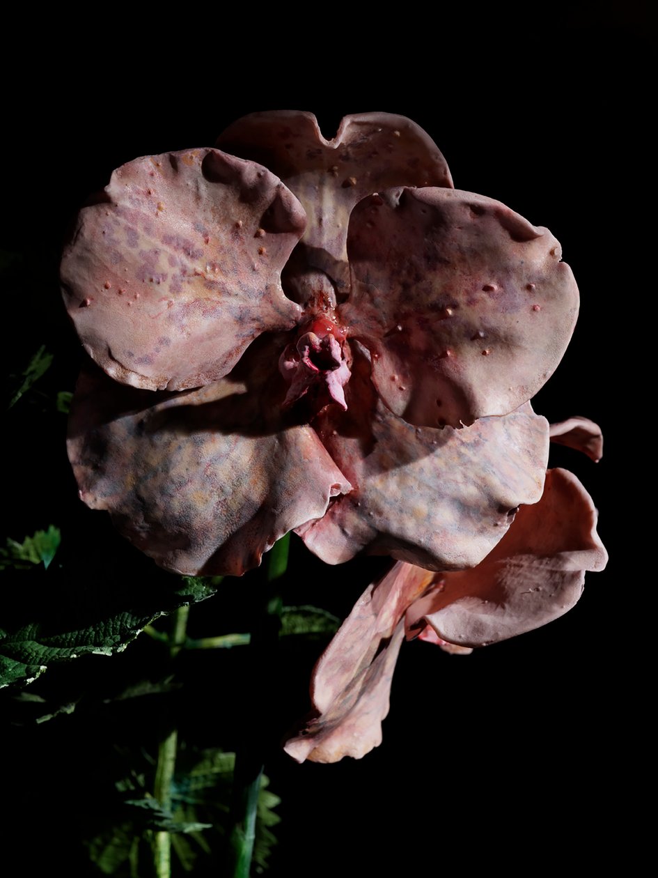 Venal Muse, Impetus, 2012（树脂、搪瓷漆、木材、玻璃、钢材） 作者 马特·科利肖