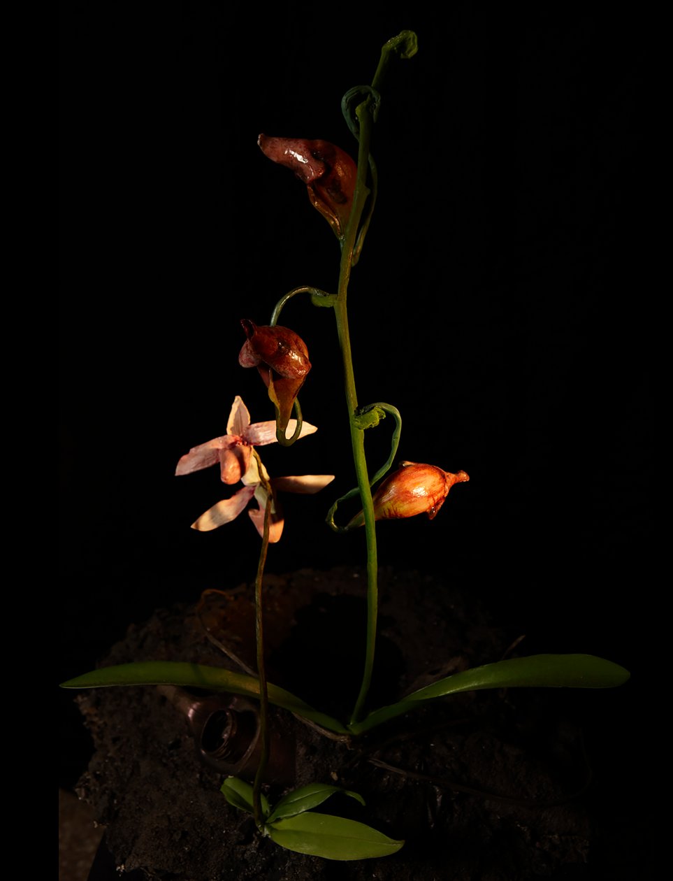 Venal Muse, Lafage, 2012（树脂、搪瓷漆、木材、玻璃、钢材） 作者 马特·科利肖