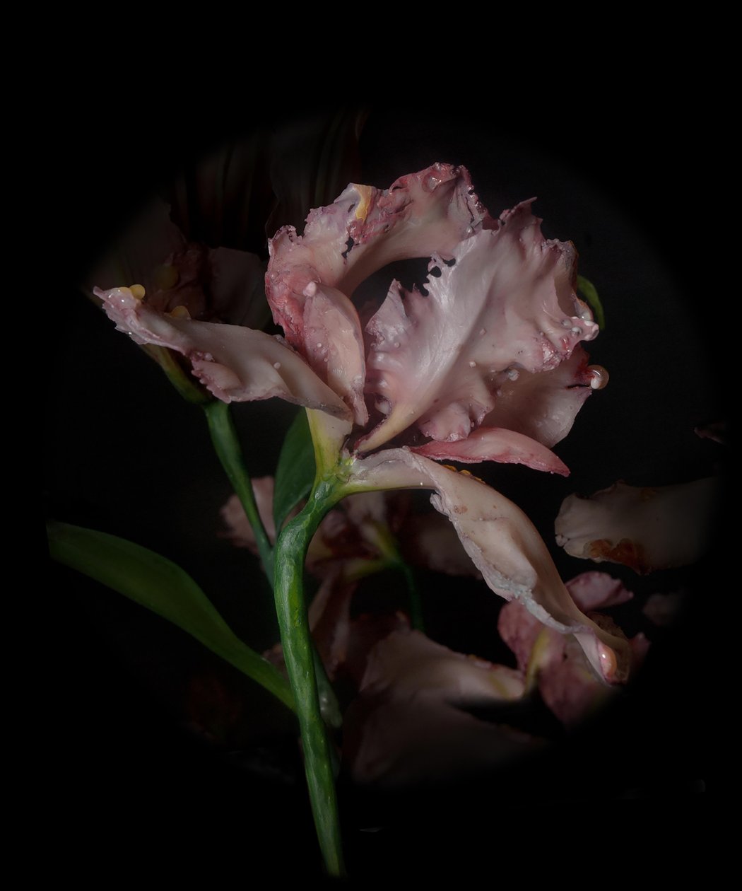 Venal Muse, Viridor, 2012（树脂、搪瓷漆、木材、玻璃、钢材） 作者 马特·科利肖