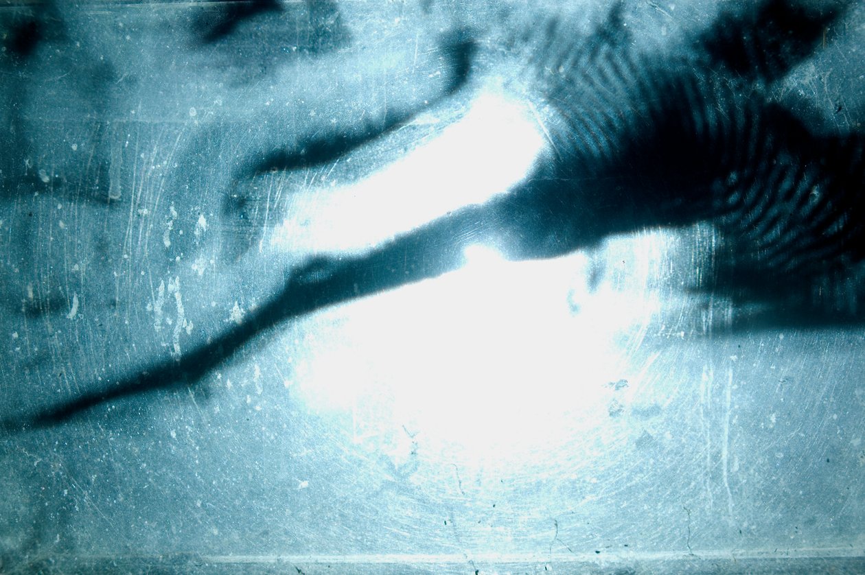 Wormery, 2009（木材、玻璃、钢、投影仪和播放器） 作者 马特·科利肖