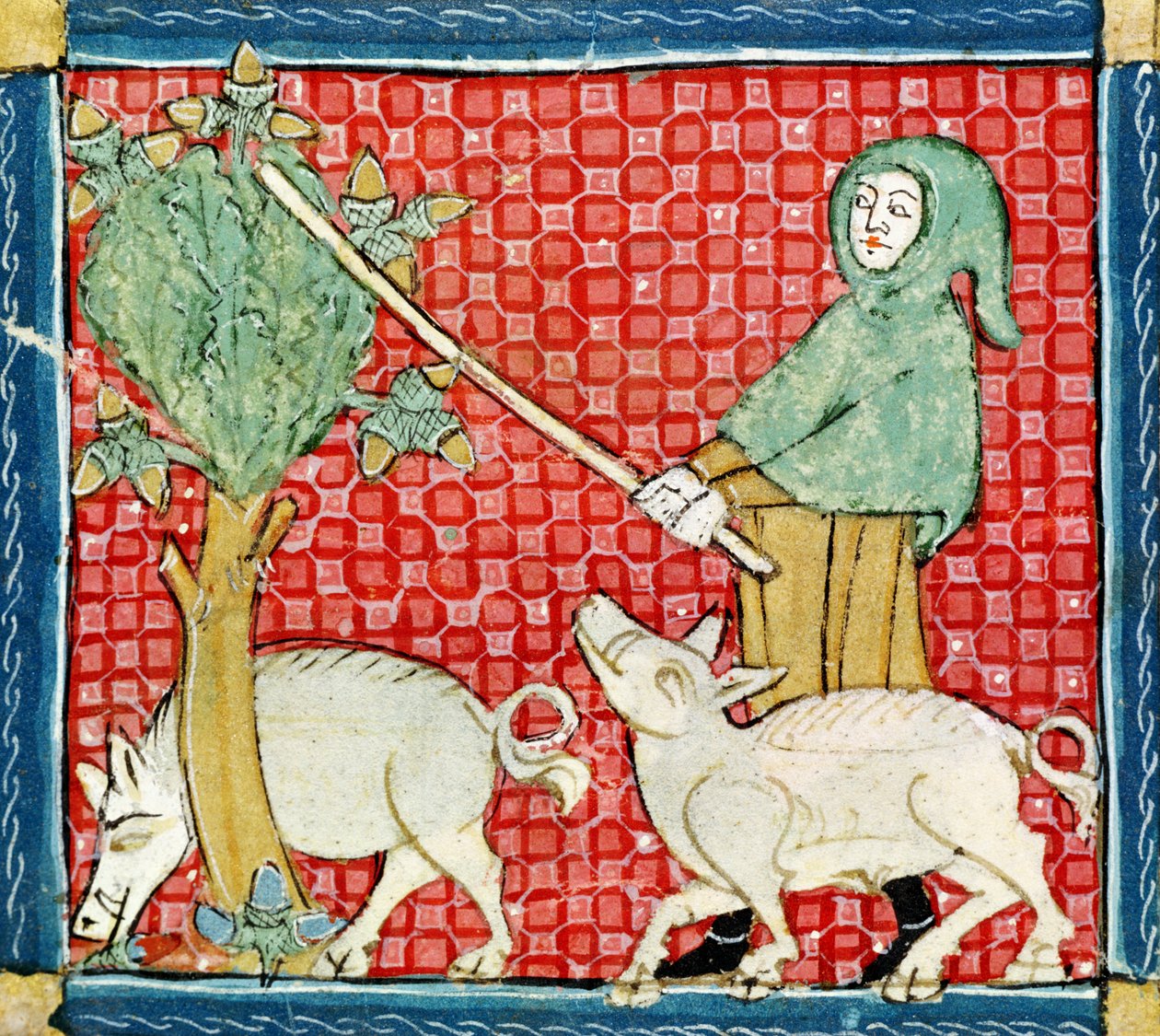 Fol.59v 11月：收集橡子 作者 Matfre Ermengaut
