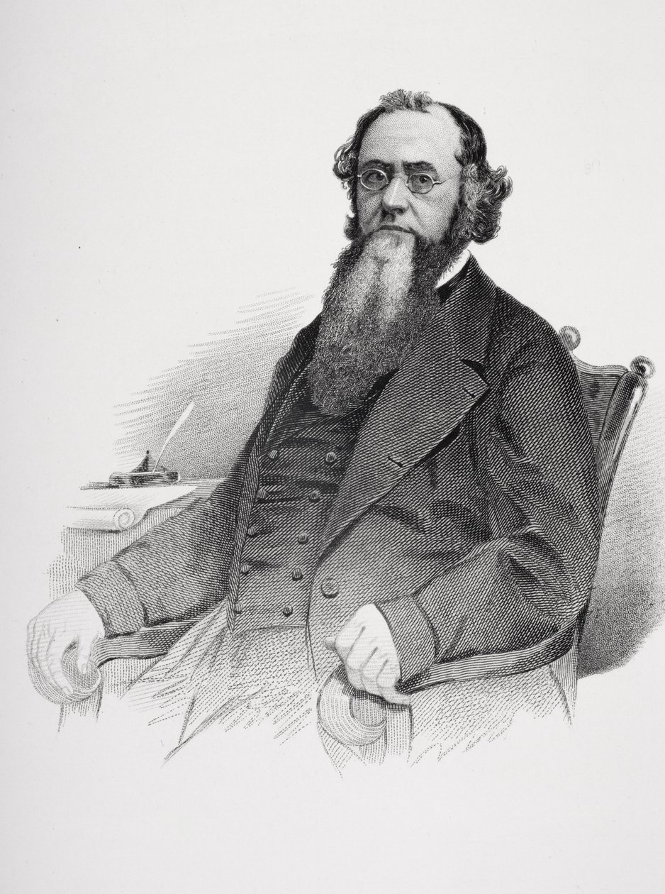 Edwin M. Stanton的肖像（1814-69） 作者 马修·布雷迪